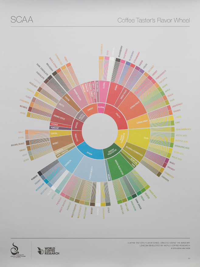 SCA Flavor wheel